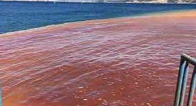 İZSU yanıt verdi: İzmir Körfezi'nin rengi neden kırmızı oldu?