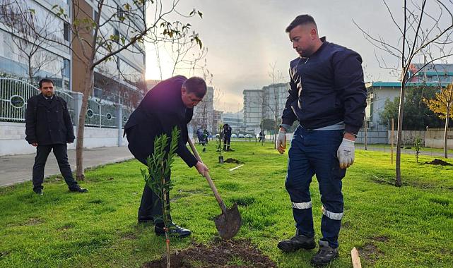 Karşıyaka meyve bahçeleriyle renkleniyor