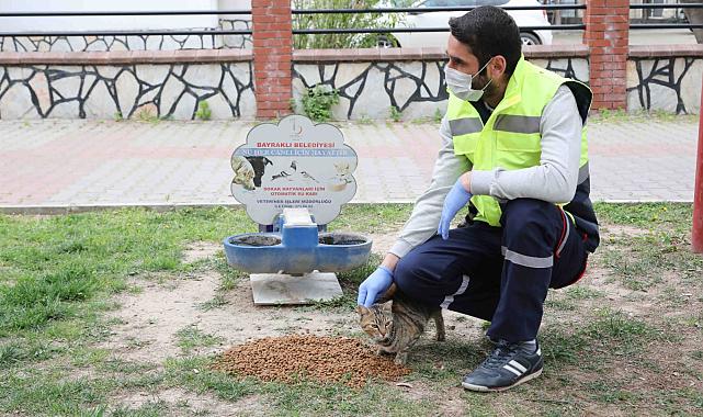 Can dostlara sıcak yuva ve mama desteği