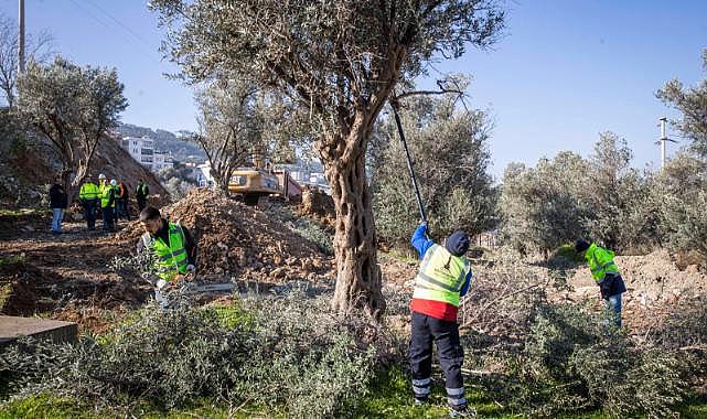 Buca Onat Tüneli’nin güzergâhındaki ağaçlar koruma altında