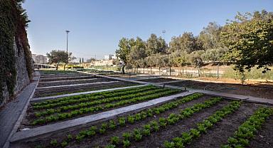 Karşıyaka’da bostanlar artıyor, kentsel tarım güçleniyor