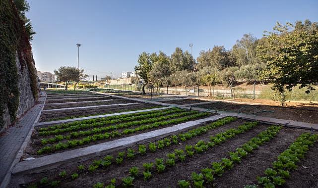 Karşıyaka’da bostanlar artıyor, kentsel tarım güçleniyor