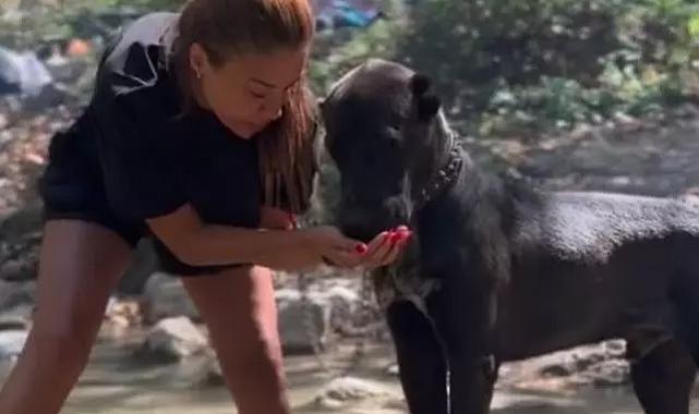 Fenomen Banu Parlak&#039;ın köpeği yavru köpeği parçaladı! Olay iddia: Evimizin kapısına dayanarak tehdit...