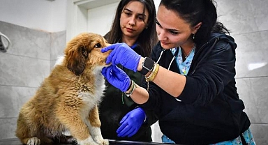 İzmir Büyükşehir Belediyesi HAYTAP'tan "tam not" alan tek Büyükşehir Belediyesi oldu