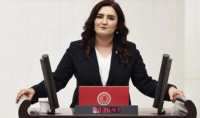 Sevda Erdan Kılıç protokolleri sordu: Bakanlıklardan ses çıkmadı