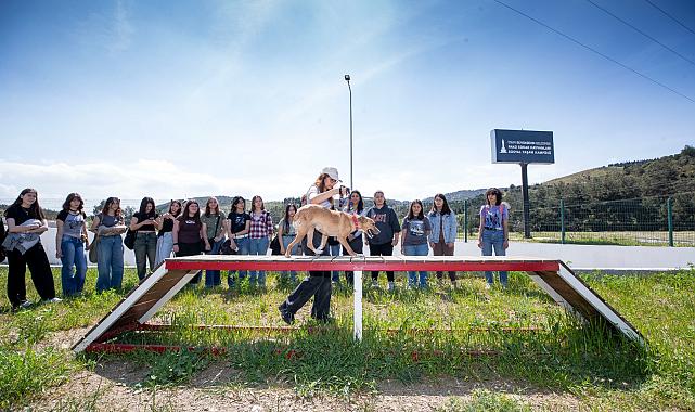 4 Nisan Dünya Sokak Hayvanları Günü PAKO’da kutlandı