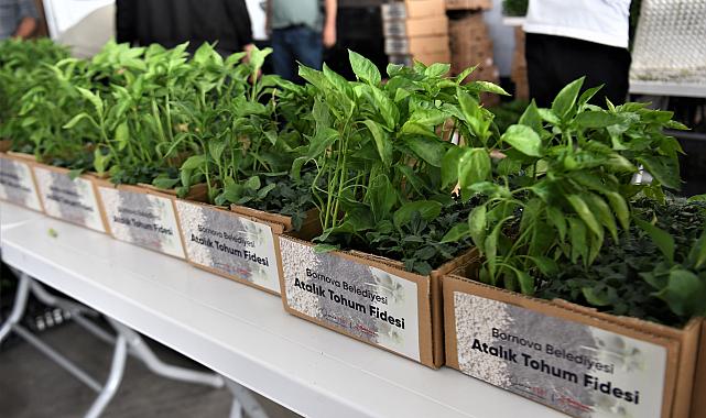 Bornova Belediyesi 500 bin fide dağıtıyor