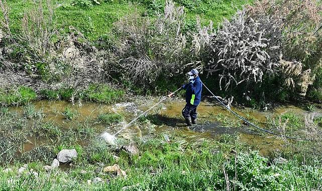 Hava sıcaklıkları arttı, Büyükşehir harekete geçti: İlaçlama çalışmalarına hız verildi