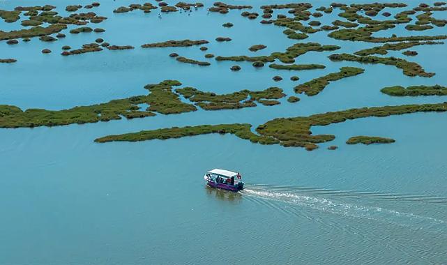 İzmir Büyükşehir tur düzenliyor: Yüzlerce canlının yaşamına tanık olmak ister misiniz?