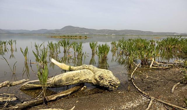 İzmir’de kuraklık alarmı: Tahtalı Barajı’nda 8-9 aylık su kaldı!