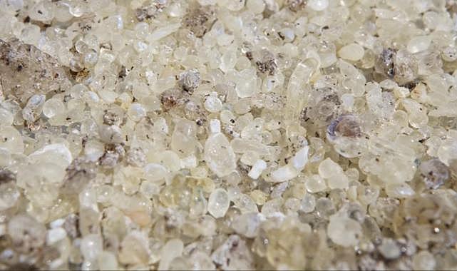 "Çeşme damla sakızı" coğrafi işaretle tescillendi! Dünyada 3 pazarda alıcısı var