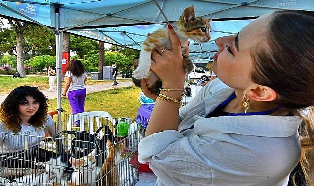 Kültürpark&#039;ta can dost etkinliği: Öldürmeyeceğiz yaşatacağız!