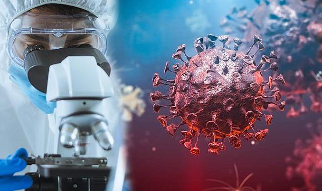 DSÖ Uzmanı: “M Çiçeği Vakaları Halk Sağlığı Tehlikesi”