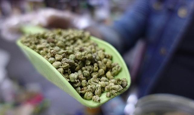 Kekik Tümör Oluşumuna Karşı Etkili!