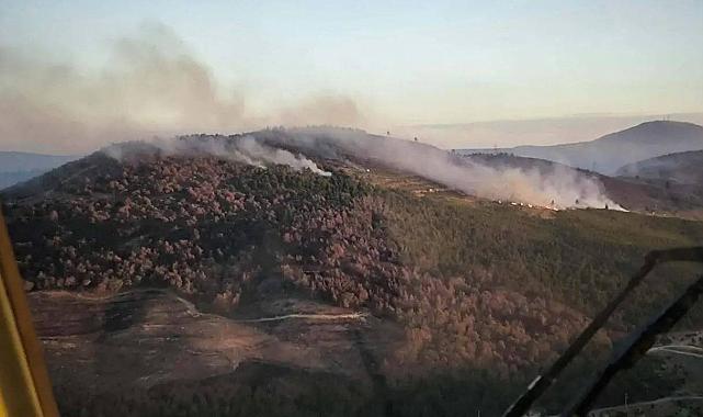 33,5 saatte kontrol altına alınmıştı: Manisa'daki yangında 600 hektar alan zarar gördü