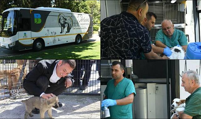 Balıkesir Büyükşehir Belediye Başkanı Akın: Sokak hayvanlarımızın yaşam haklarını engelleyen yasa teklifine ben de "hayır" diyorum