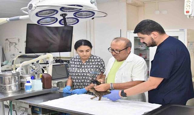 Başkan Yiğit: Öldürme yasasına karşıyız