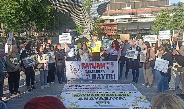 Beşiktaş İskelesi&#039;nde Bandista Konseri: Sokak Hayvanlarına Destek