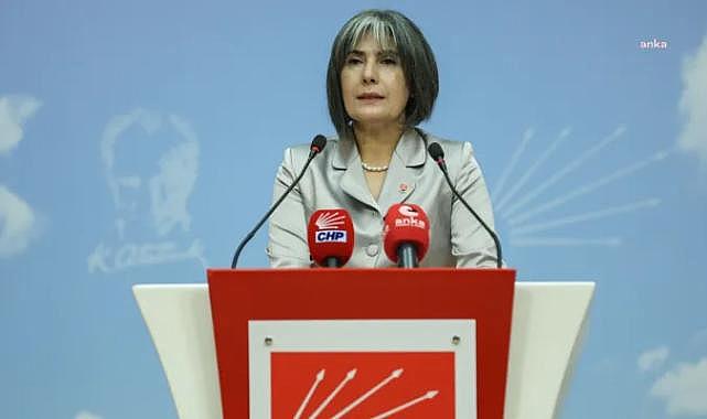 CHP Kadın Kolları Başkanlığı İçin Birsen Bayar Adaylığını İlan Etti