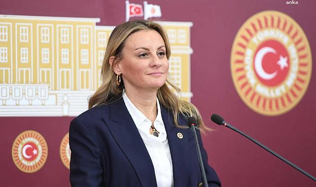 DEVA Partisi Milletvekili Ösen, İzmir yangınlarını sordu