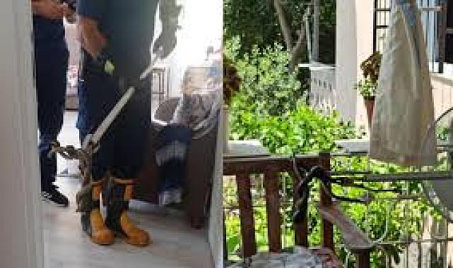 Dörtyol&#039;da yılan telaşı: Evin balkonuna girdi, itfaiye kurtardı