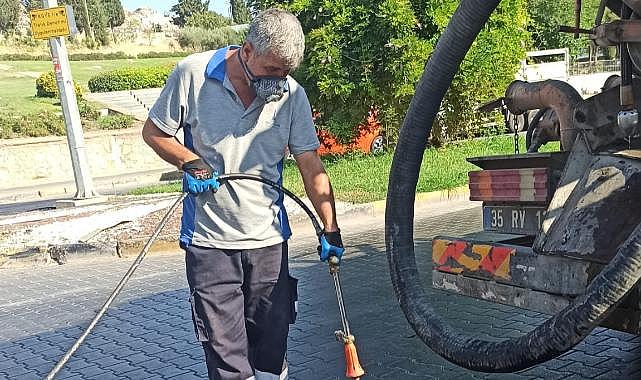 Efes Selçuk’ta Haşere Sorununa Karşı Yoğun Mücadele: Önlemler Artırıldı