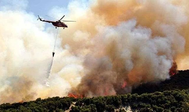 Kayseri'de ormanlık alanda yangını çıktı