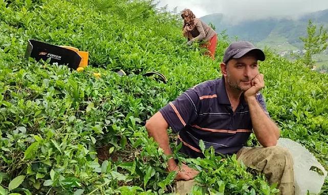 Kota düşürülmüştü! ÇAYKUR&#039;dan izdiham önlemi: Alımlarına 1 günlük ara verildi