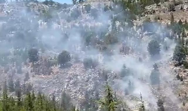 Mersin&#039;de orman yangını