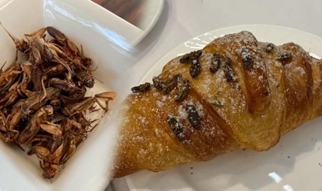 Singapur&#039;da menüler artık böcekli