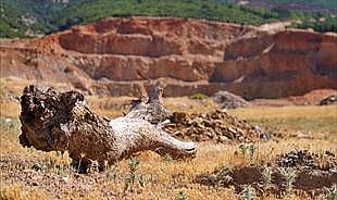 Üçüncü geri kazanım tesisi yolda İzmir’de moloz ve hafriyat atıkları ekonomiye kazandırılıyor