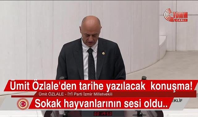 Ümit Özlale TBMM'de Sert Çıktı: "Sokak Hayvanlarından Önce Tacizcileri Toplayın!"