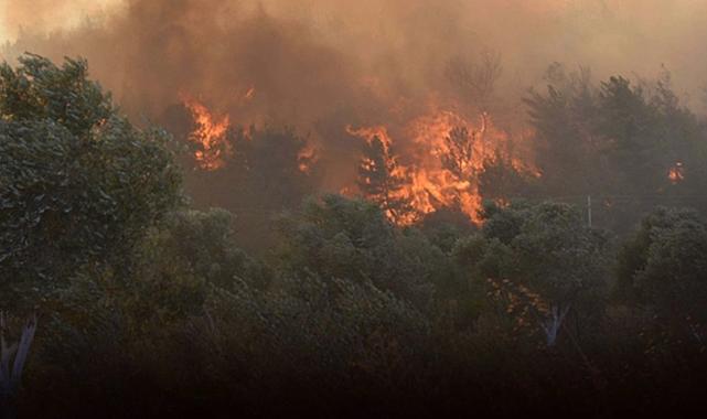 Uzmanından &#039;kuru toprak&#039; uyarısı! En küçük kıvılcımda çıra gibi tutuşuyor