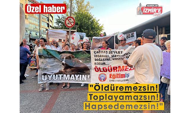 Vicdanın Sesi Karşıyaka&#039;da Yükseliyor: Hayvan Katliamına Hayır