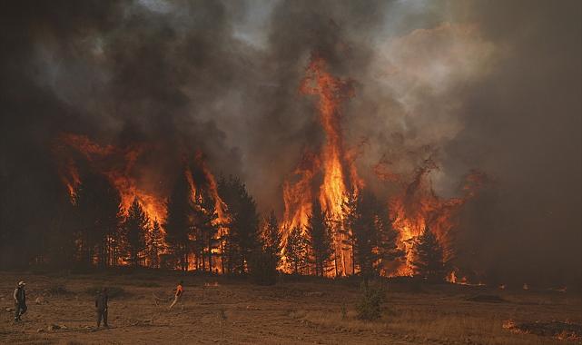 Ankara'da orman yangını devam ediyor: 13 yayla evi ve bir cami alevlere teslim oldu