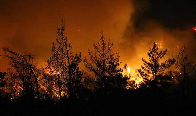 Aydın ve Muğla&#039;daki yangınlarda 2.gün! Son durum ne?