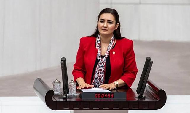 CHP İzmir Milletvekili Sevda Erdan Kılıç, okul ihalelerine tepki gösterdi