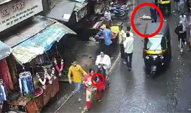 Hindistan'da üzerine köpek düşen 4 yaşındaki kız, hayatını kaybetti