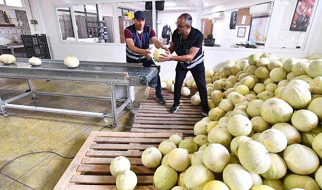İzmir Büyükşehir Belediyesi 300 bin ton karpuz ve kavunu ihtiyaç sahiplerine dağıtacak