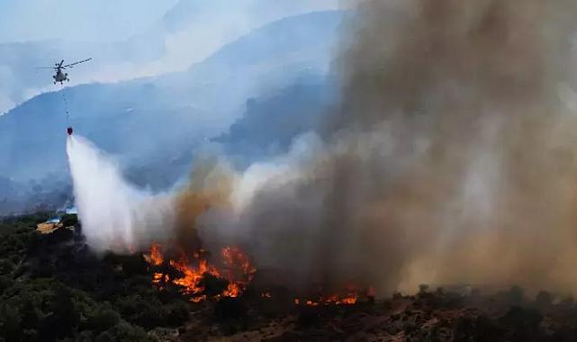 İzmir&#039;deki yangın felaketinde 2.gün: Alevlerle mücadele sürüyor!