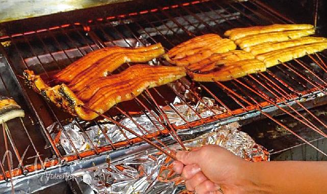 Japonya&#039;da kızarmış yılan balığı yiyen 1 kişi öldü, onlarca kişi hastalandı