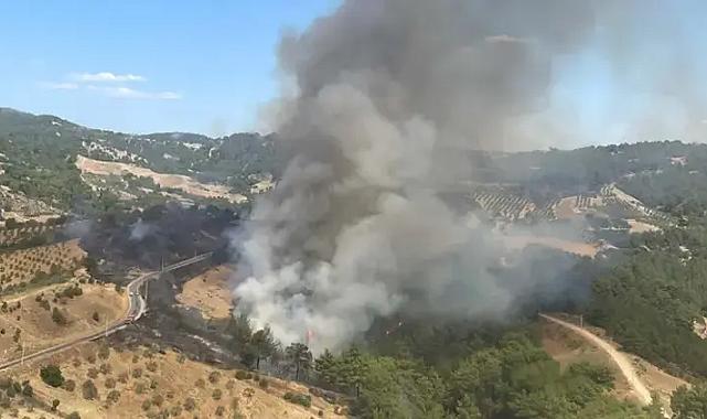 Manisa&#039;da orman yangını!
