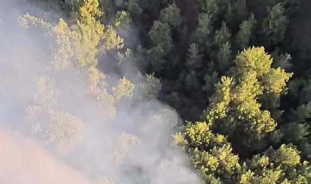 Manisa Gördes&#039;te çıkan orman yangınına müdahale sürüyor!