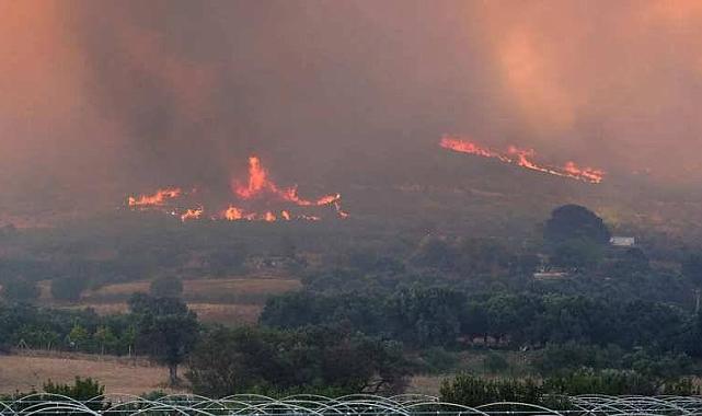 OGM verileri: Bir haftada 334 yangın yaşandı