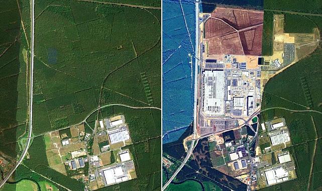 Tesla’nın Berlin Fabrikası İçin 500 Bin Ağaç Kesildi