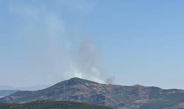 Tunceli&#039;de Orman Yangını Çıktı! Söndürme Çalışmaları Sürüyor