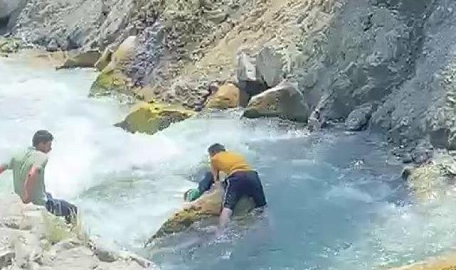 Yüzme bilmeyen gazetecinin cesur müdahalesi