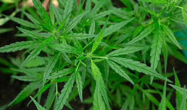 Aracın yakıt deposunda 12 kilo 888 gram uyuşturucu ele geçirildi