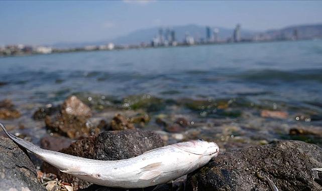 Büyükşehir&#039;den Kurum&#039;a körfez yanıtı: Yurttaşlarımız yanlış bilgilendiriliyor