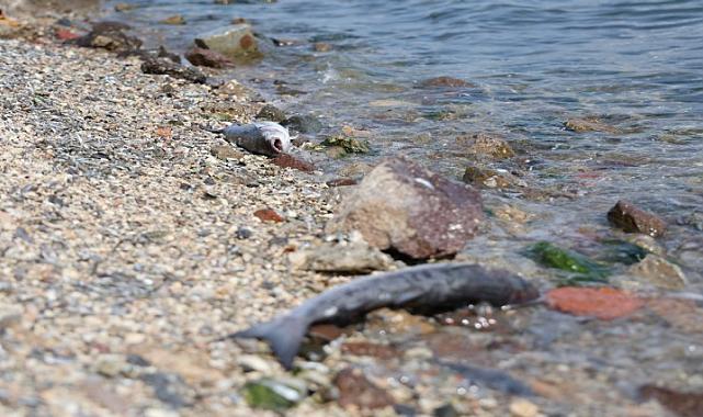 Çevre Bakanlığı&#039;ndan İZSU&#039;ya Ceza ve Suç Duyurusu